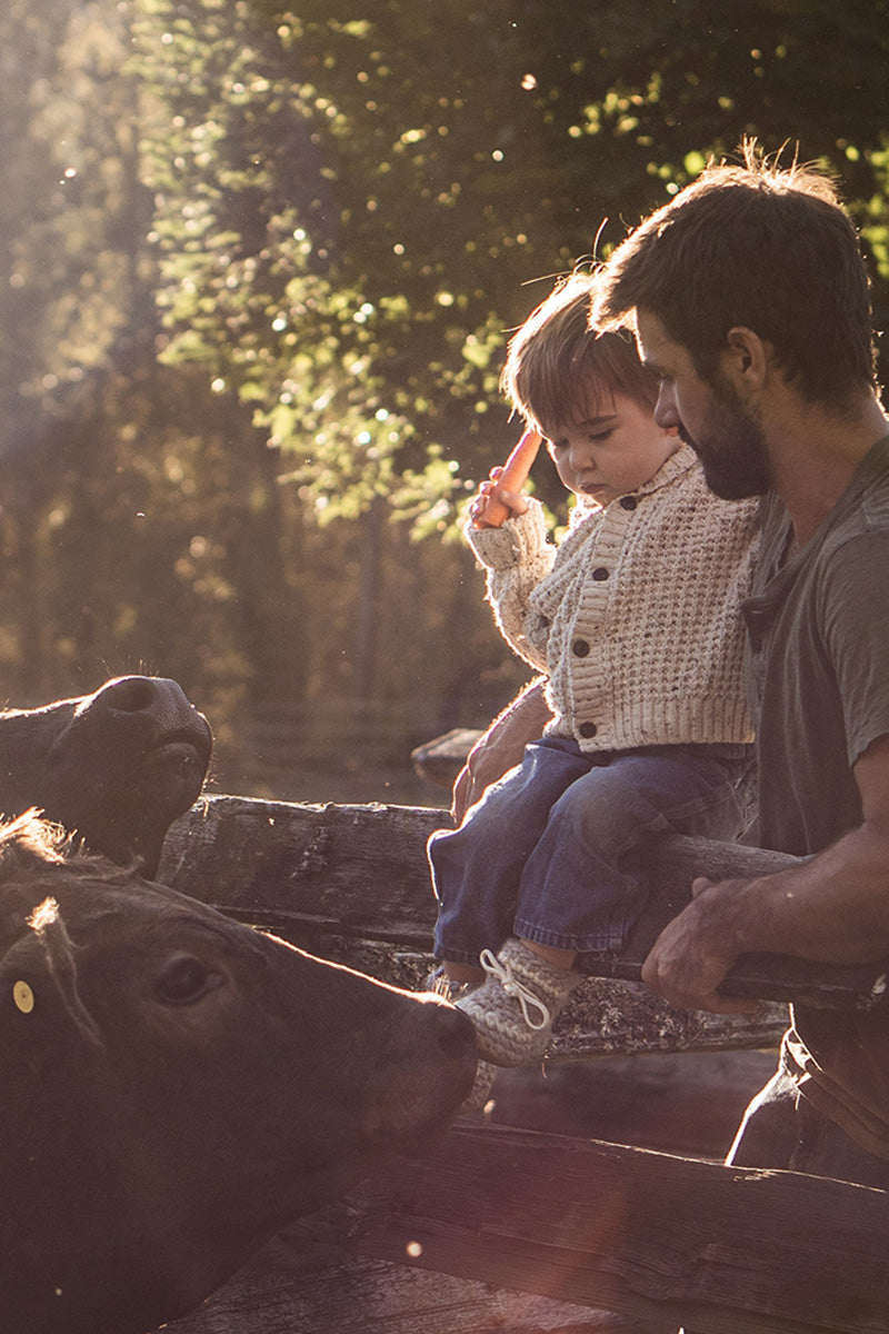 Little boy wearing his Padraig slippers feeding cows with his father. 